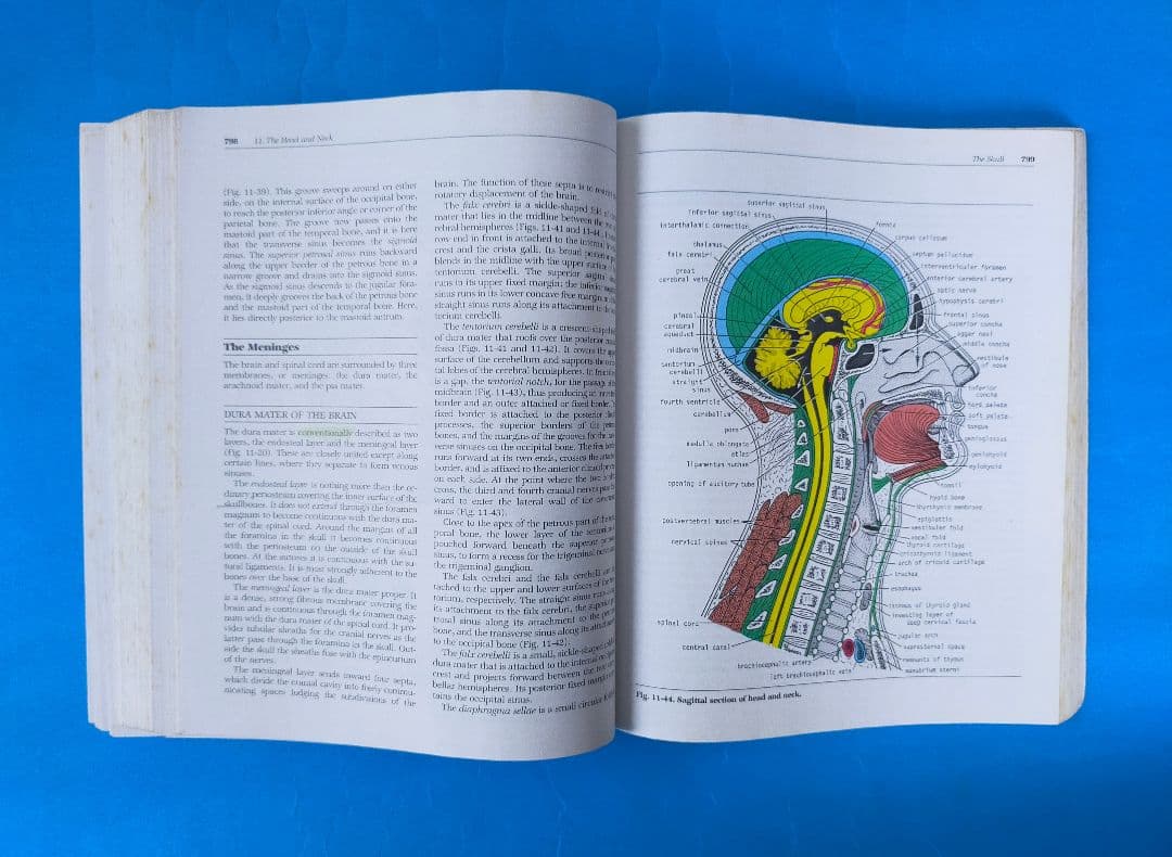激レア❗希少❗貴重❗医学生のための臨床解剖学 医学書 掘り出し物❗