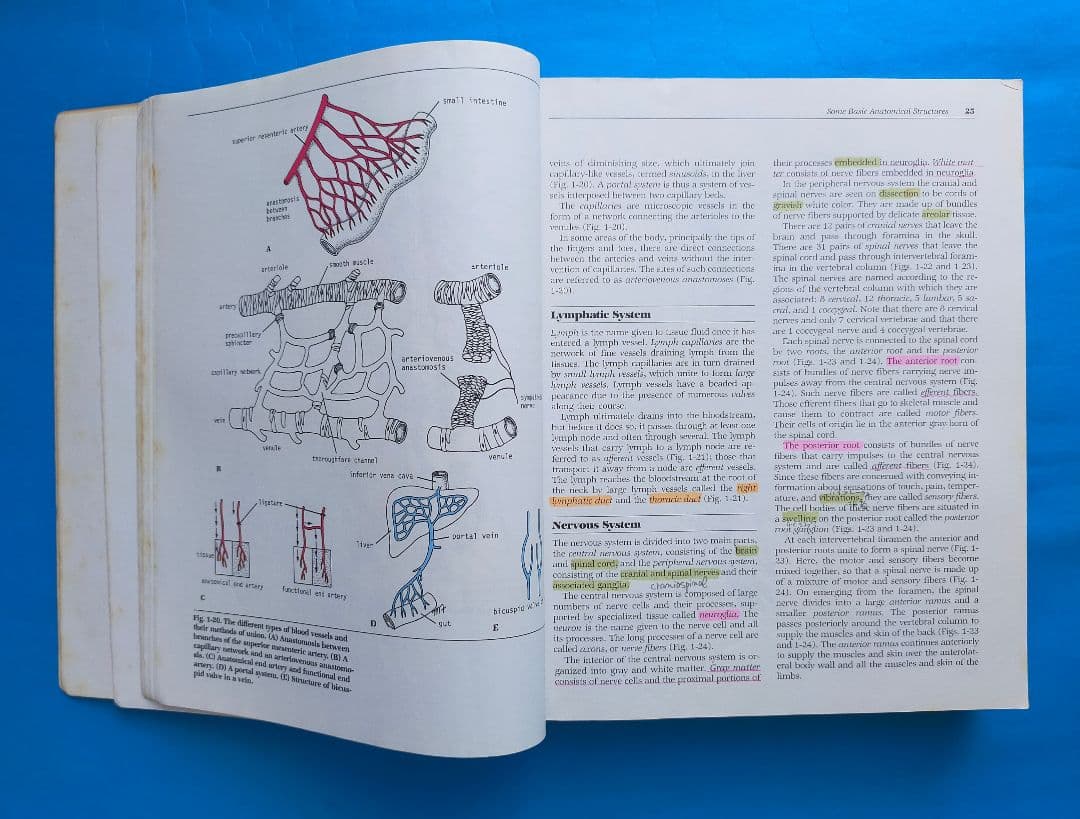 激レア❗希少❗貴重❗医学生のための臨床解剖学 医学書 掘り出し物❗