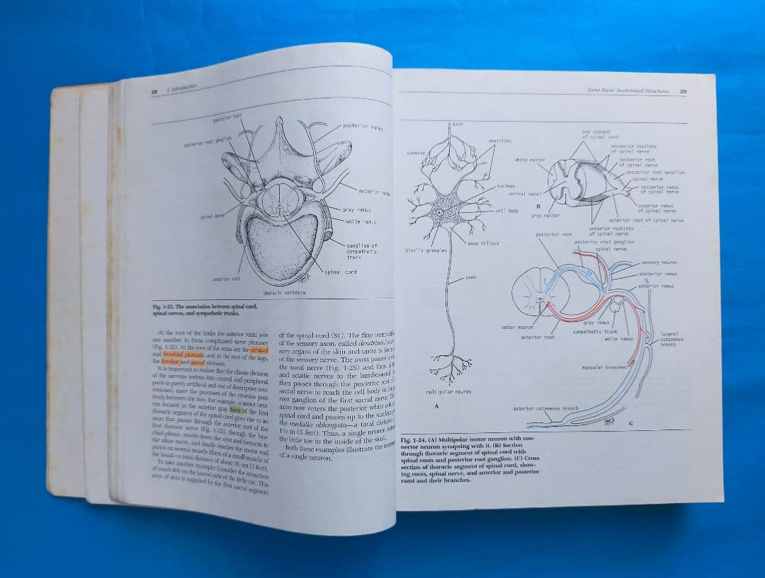 激レア❗希少❗貴重❗医学生のための臨床解剖学 医学書 掘り出し物❗