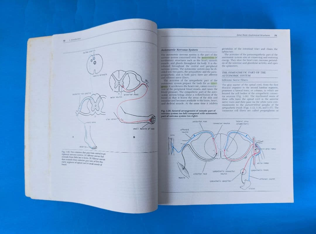 激レア❗希少❗貴重❗医学生のための臨床解剖学 医学書 掘り出し物❗