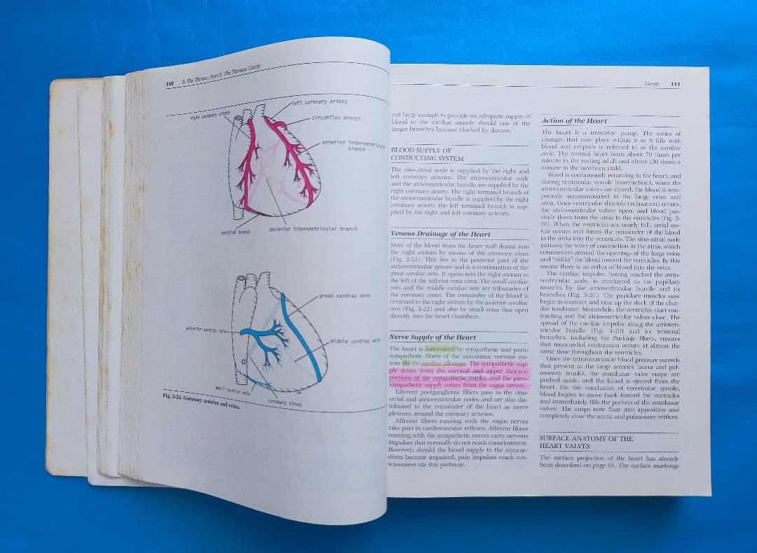 激レア❗希少❗貴重❗医学生のための臨床解剖学 医学書 掘り出し物❗