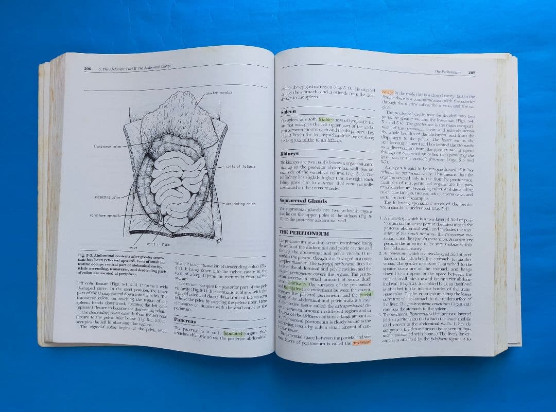 激レア❗希少❗貴重❗医学生のための臨床解剖学 医学書 掘り出し物❗