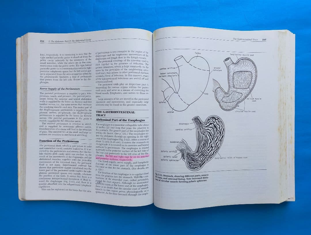 激レア❗希少❗貴重❗医学生のための臨床解剖学 医学書 掘り出し物❗