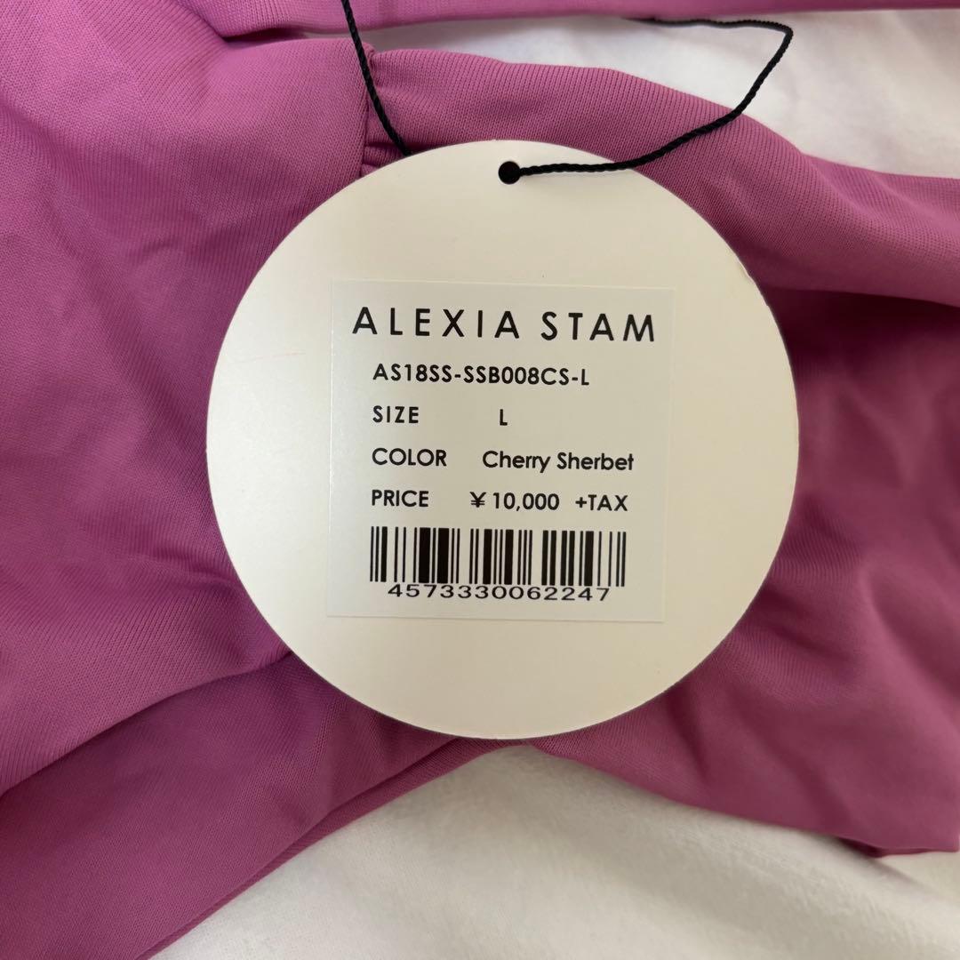 【新品未使用】アリシアスタンALEXIA STAM バンドゥビキニトップ上下