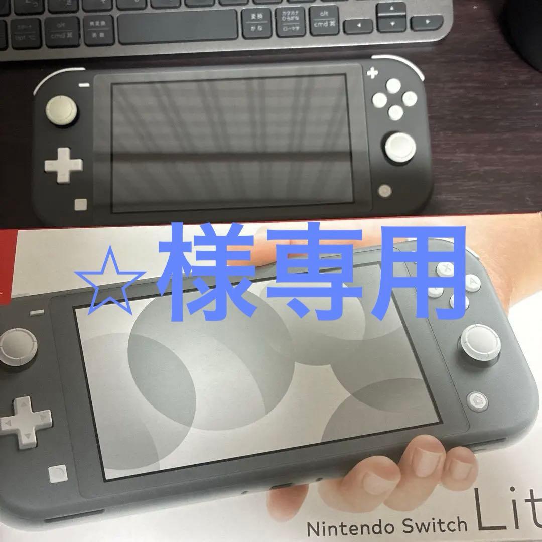⭐︎　Nintendo Switch Lite グレー 箱充電アダプター