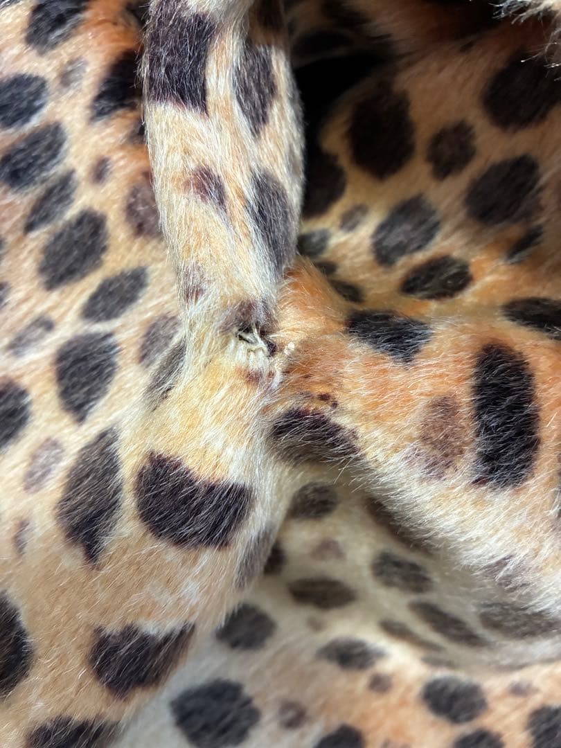 ヴィンテージヒョウ柄 Sportowneコート