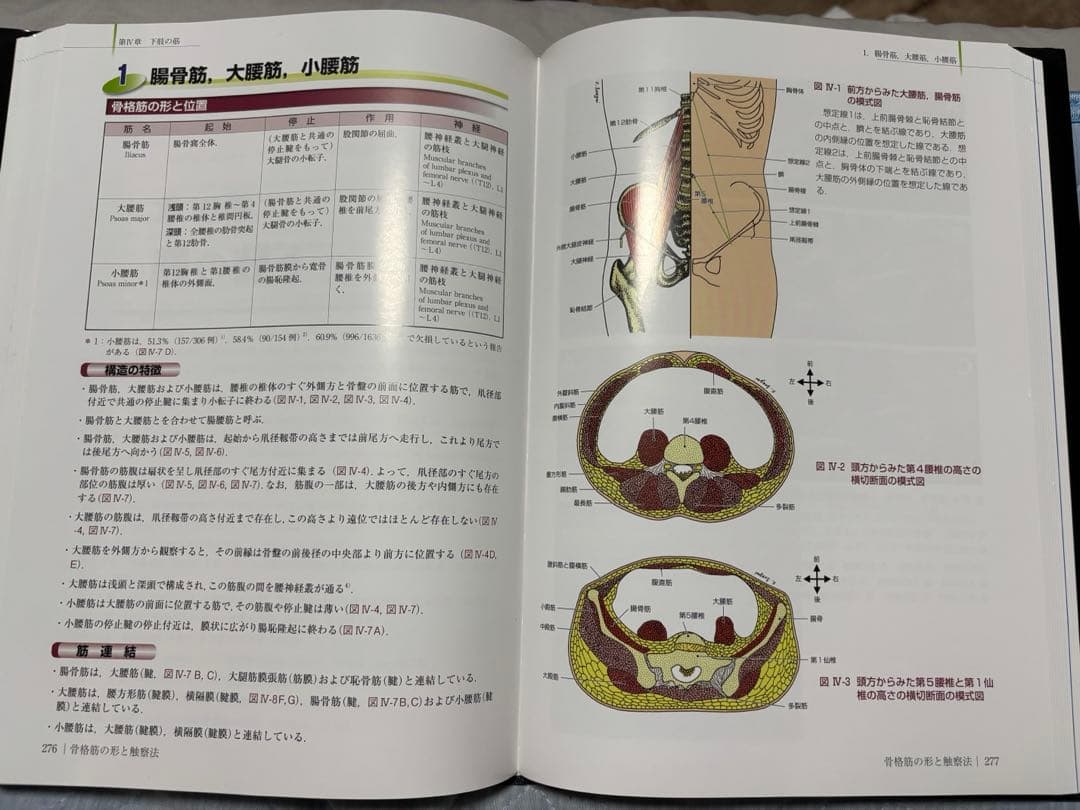 改訂第2版 骨格筋の形と触察法