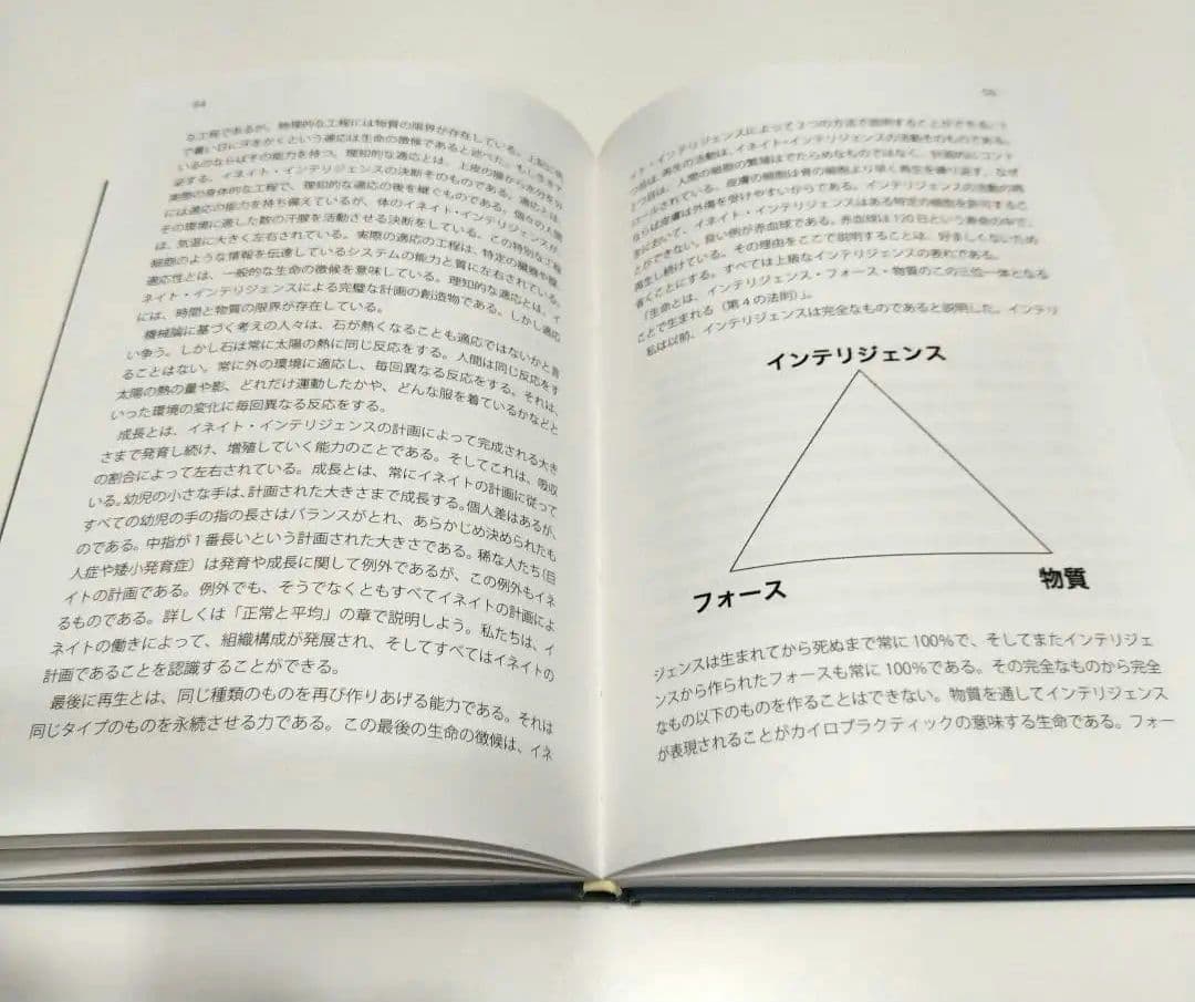 カイロプラクティック哲学 ジョセフBストラウスDC.塩川雅士DC訳