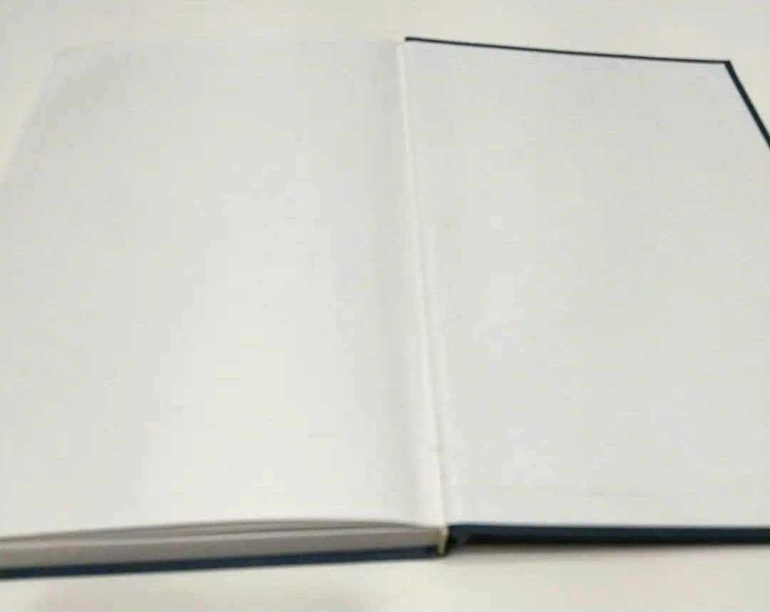 カイロプラクティック哲学 ジョセフBストラウスDC.塩川雅士DC訳