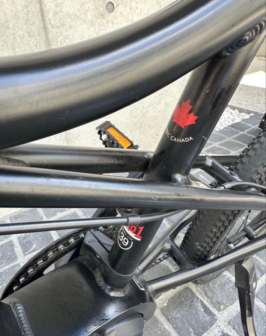 ルイガノEASEL-E　（ミニベロEバイク）