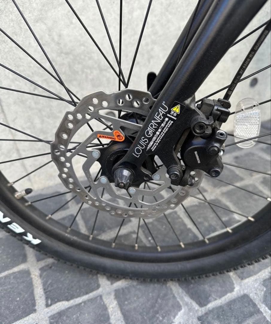 ルイガノEASEL-E　（ミニベロEバイク）