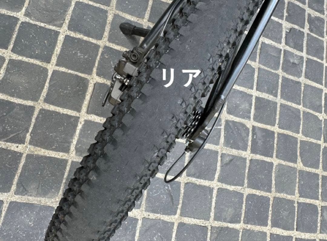 ルイガノEASEL-E　（ミニベロEバイク）