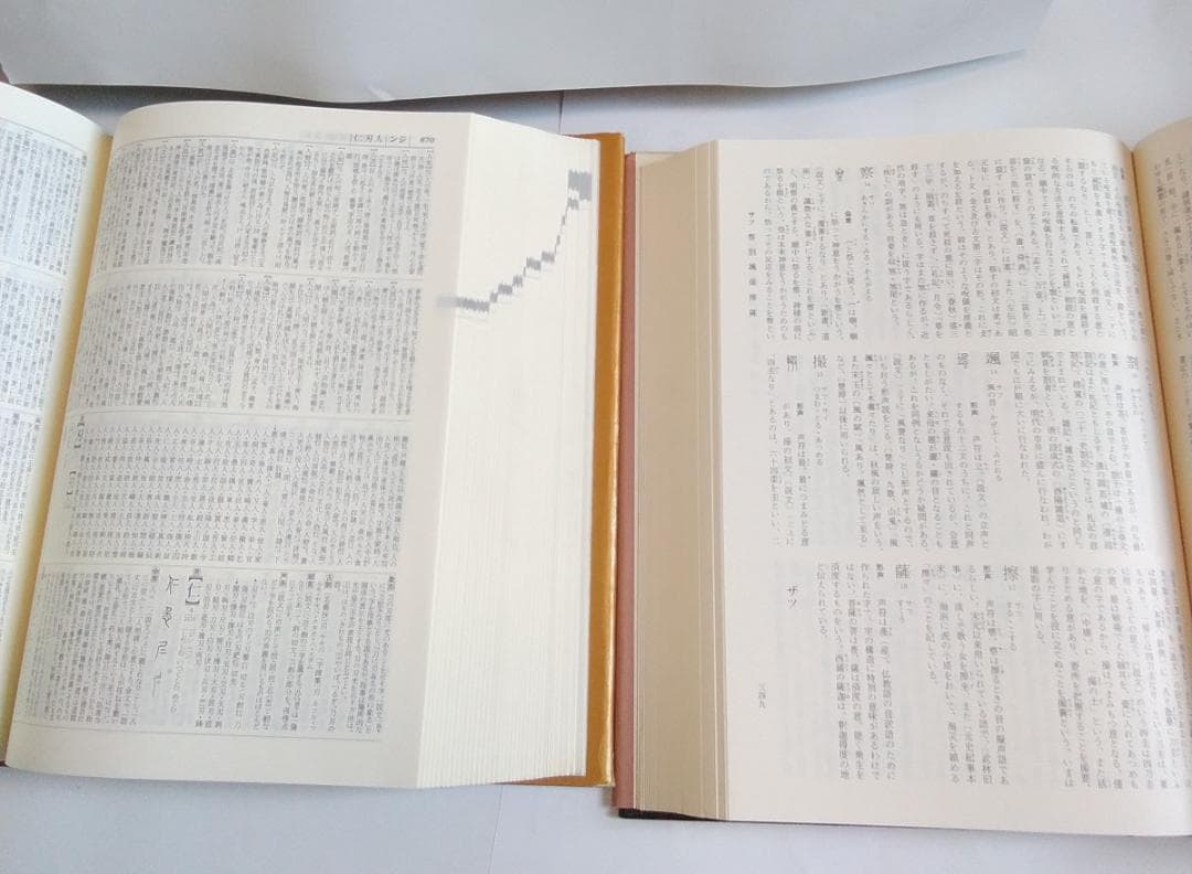 字源辞典「字統」、漢和辞典「字通」　白川静　平凡社　２冊セット