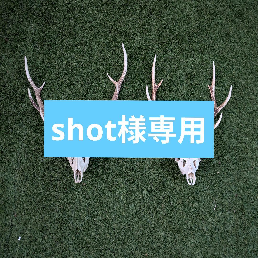 shot　ニホンジカ