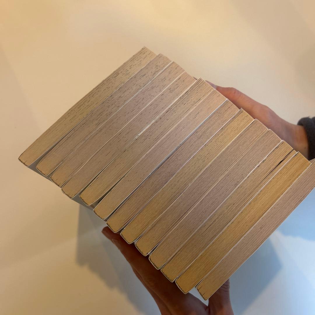 Cupcake Diaries: Baker's Dozen 13巻セット