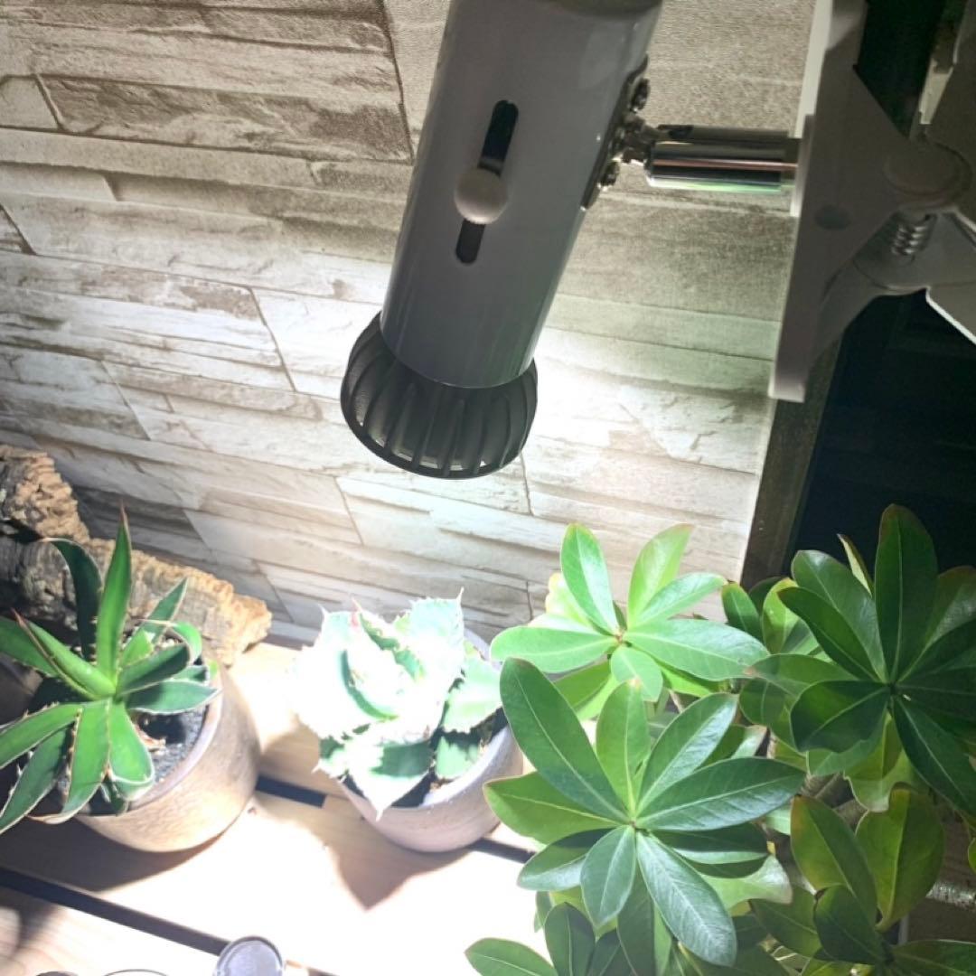 15W植物育成ライトGrowLight PAR20 6000K 5個