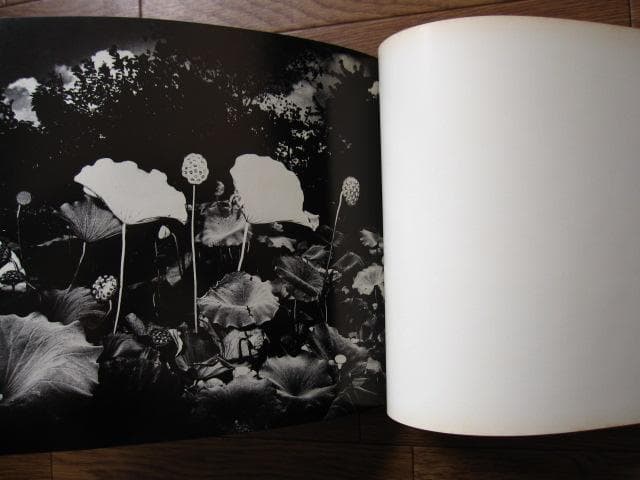 植物に　山村雅昭　PLANTS　Gasho Yamamura　直筆サイン入り