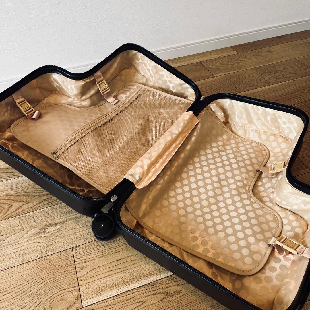 【美品】子どもが乗れるキッズキャリー