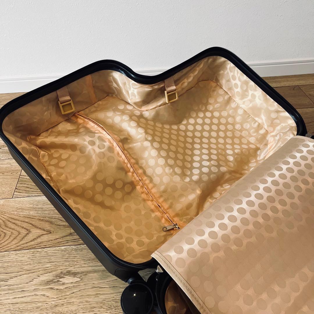 【美品】子どもが乗れるキッズキャリー