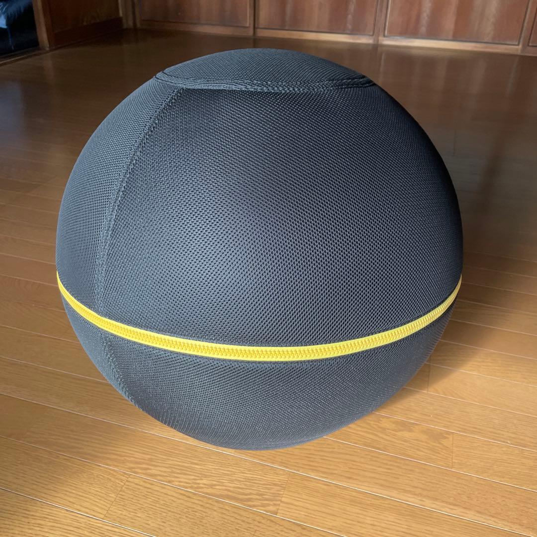 TECHNOGYM バランスボール 黒　55cm