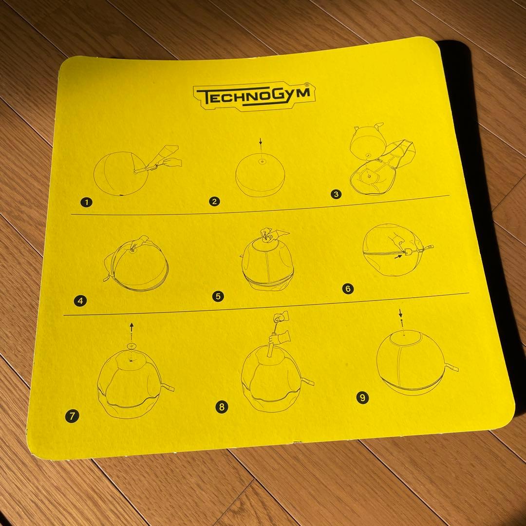 TECHNOGYM バランスボール 黒　55cm