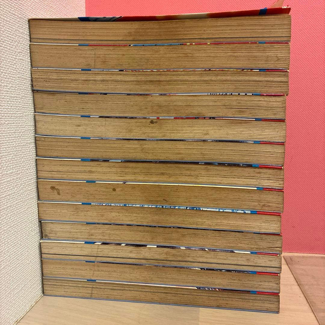 【訳あり】レース鳩0777（アラシ）飯森広一