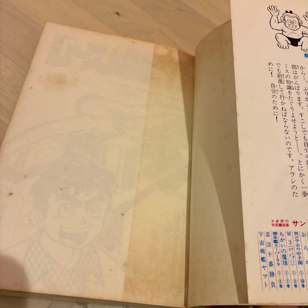 【訳あり】レース鳩0777（アラシ）飯森広一