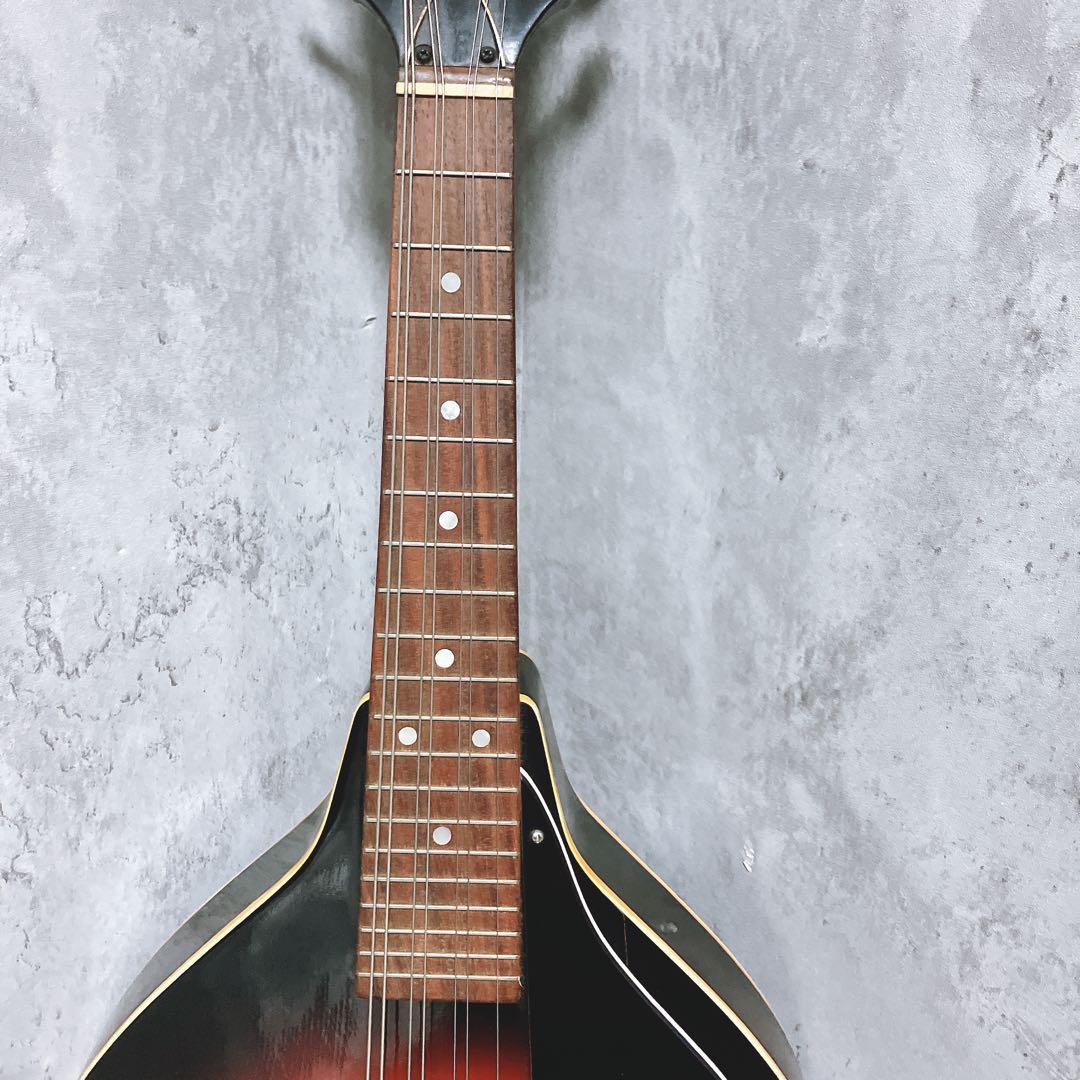 【希少】Jumbo フラットマンドリン JM-28 ヴィンテージ