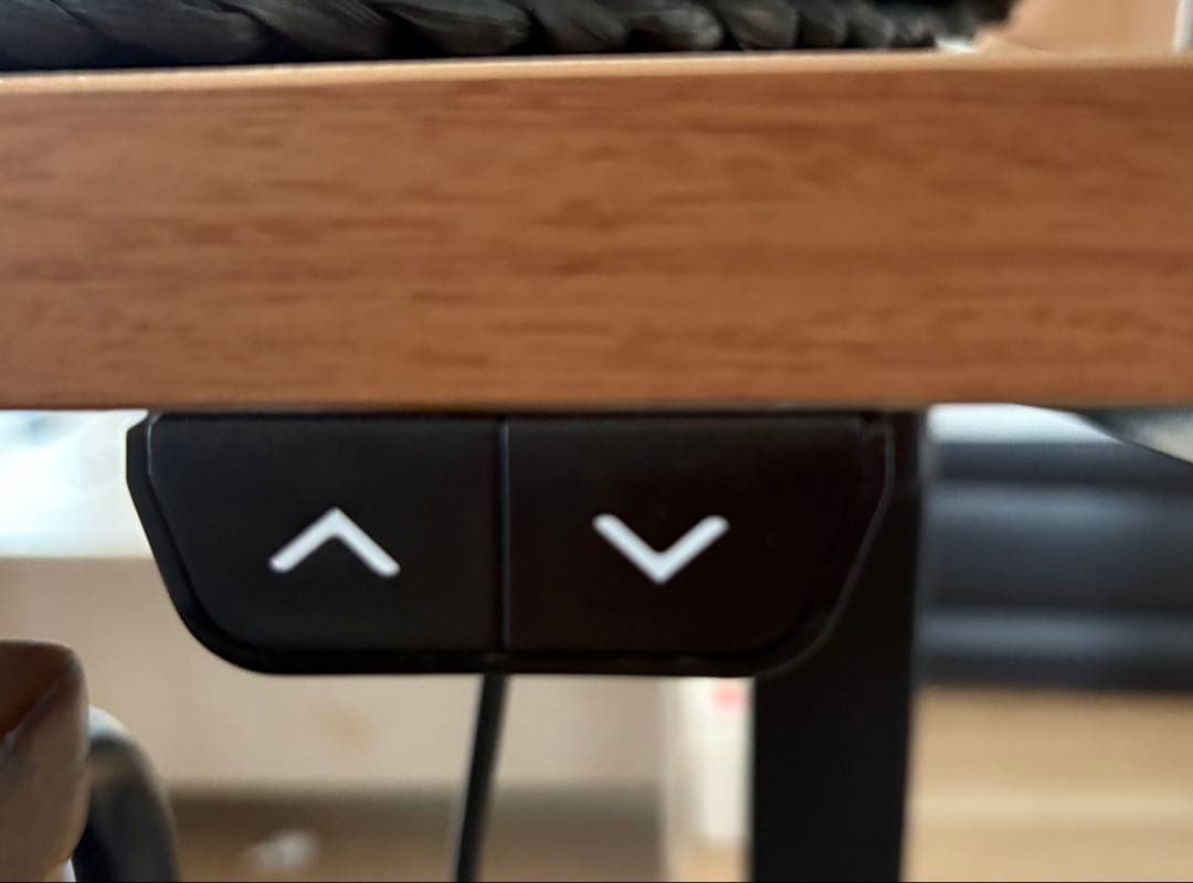 FLEXISPOT 昇降デスク パソコンデス 幅120cmスタンディングデスク