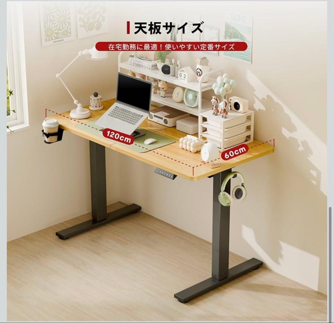 FLEXISPOT 昇降デスク パソコンデス 幅120cmスタンディングデスク