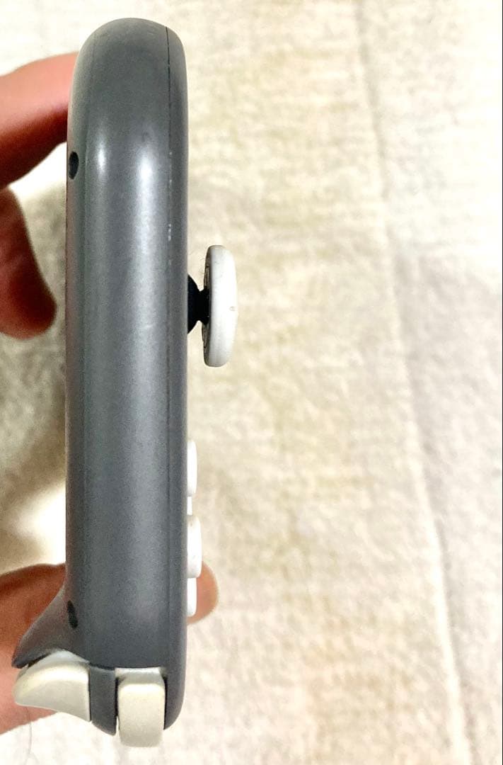 d*3様 Nintendo Switch Lite 本体のみ 美品