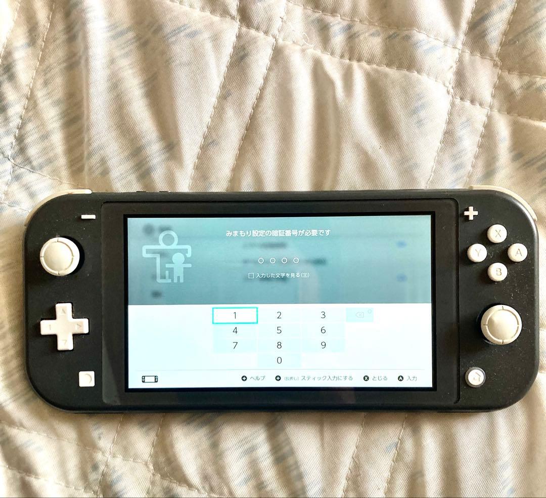 d*3様 Nintendo Switch Lite 本体のみ 美品