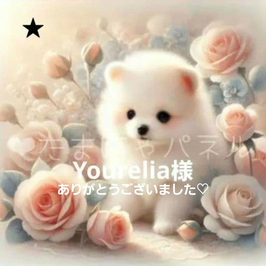 Yourelia様確認用