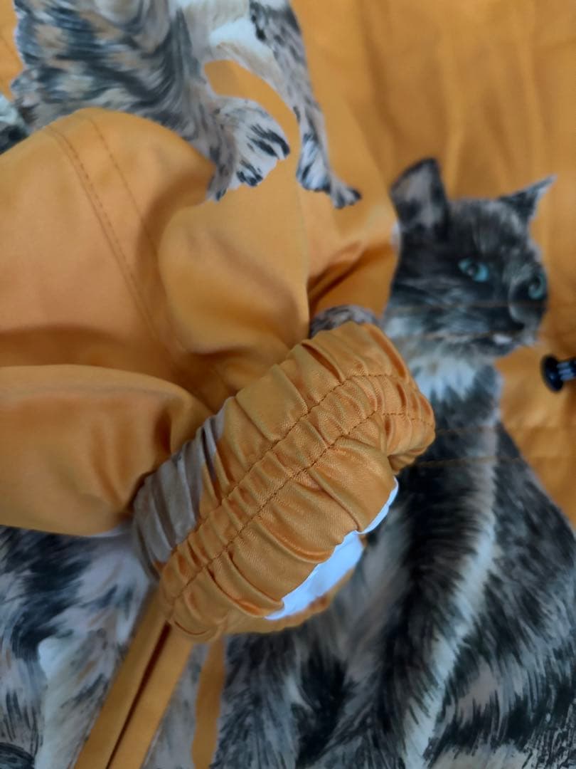 スキーウェア 女性用　KENSHO