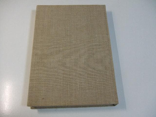 限定本 刀装金工後藤家十七代 正誤表付き 刀装具 鉄鍔 鉄鐔 刀剣 日本刀