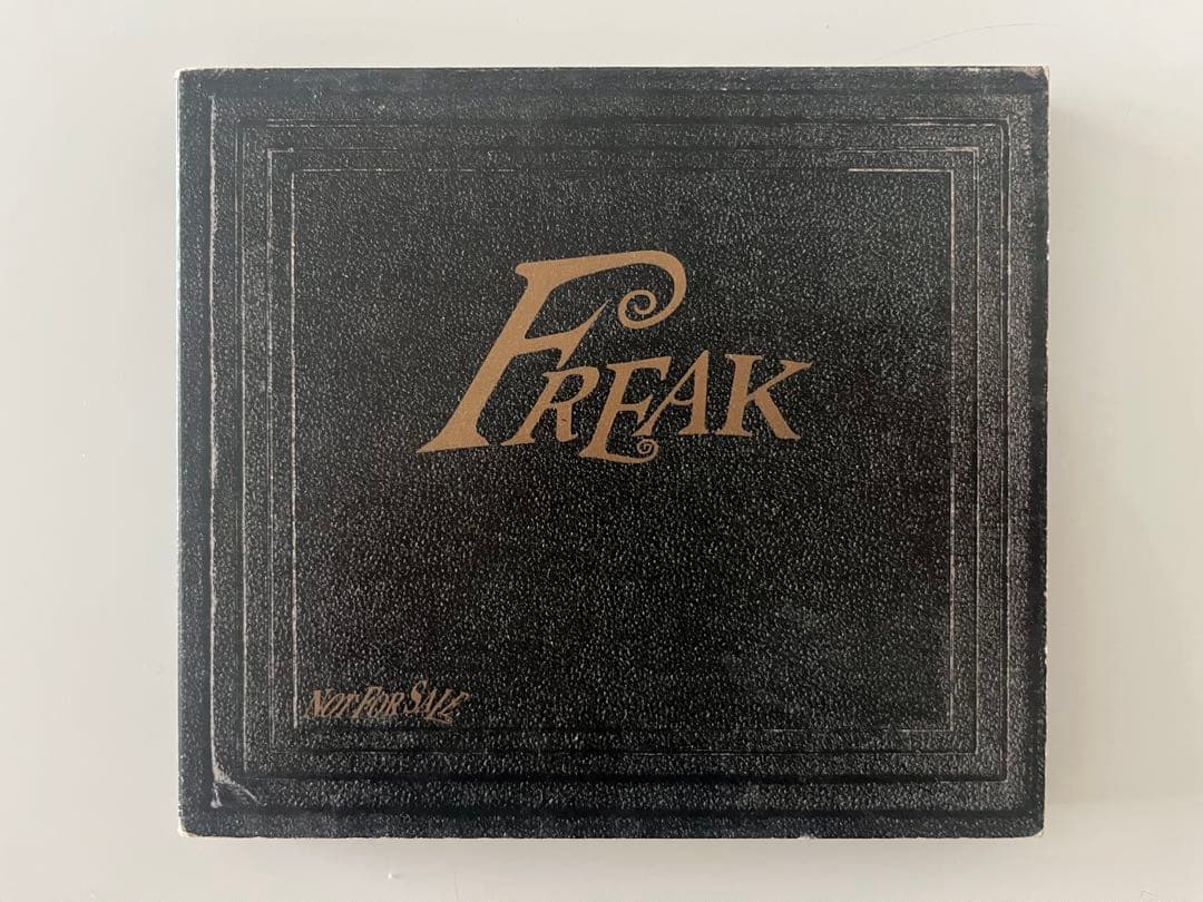 【鬼レア】PEARL JAM Freak パールジャム　プロモ　非売品
