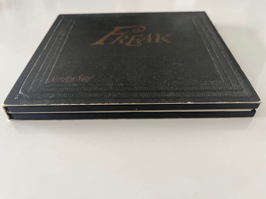 【鬼レア】PEARL JAM Freak パールジャム　プロモ　非売品