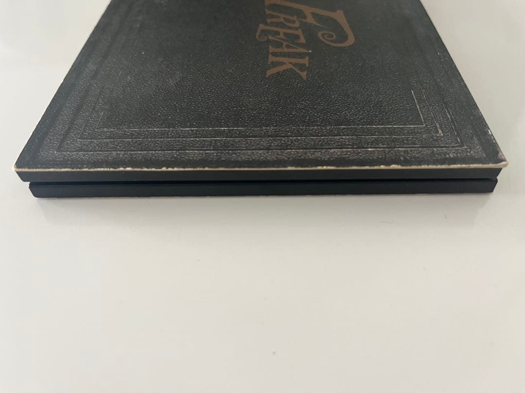 【鬼レア】PEARL JAM Freak パールジャム　プロモ　非売品