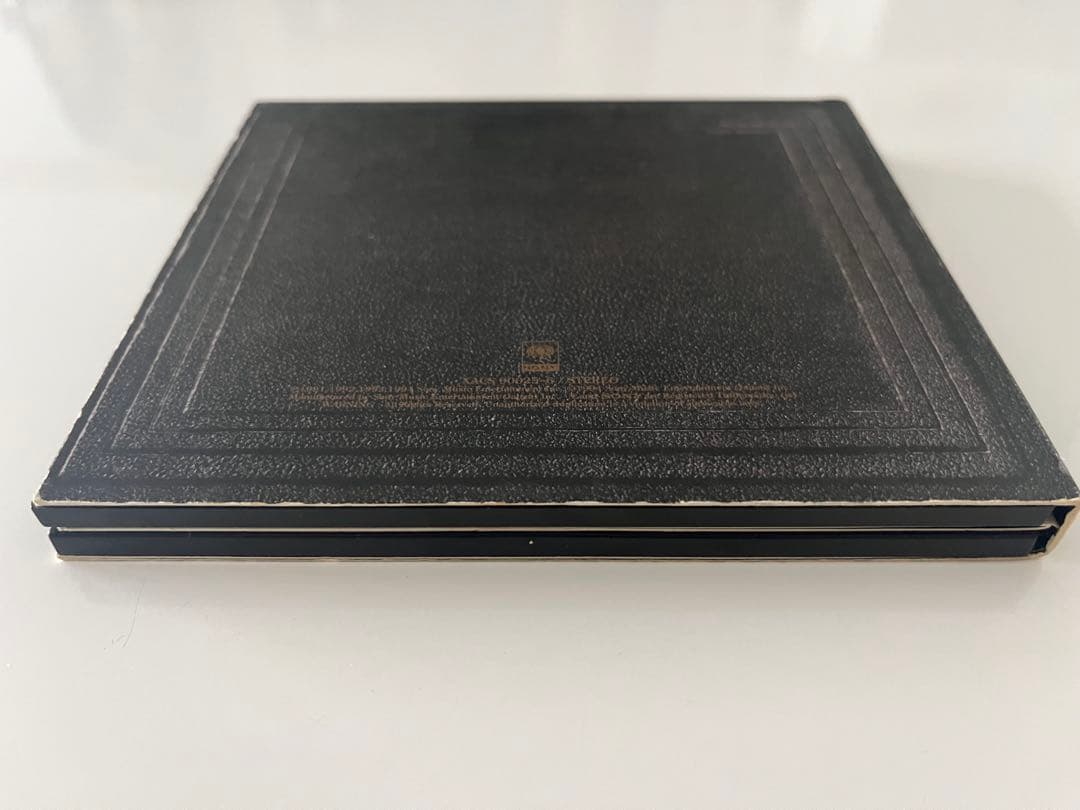 【鬼レア】PEARL JAM Freak パールジャム　プロモ　非売品