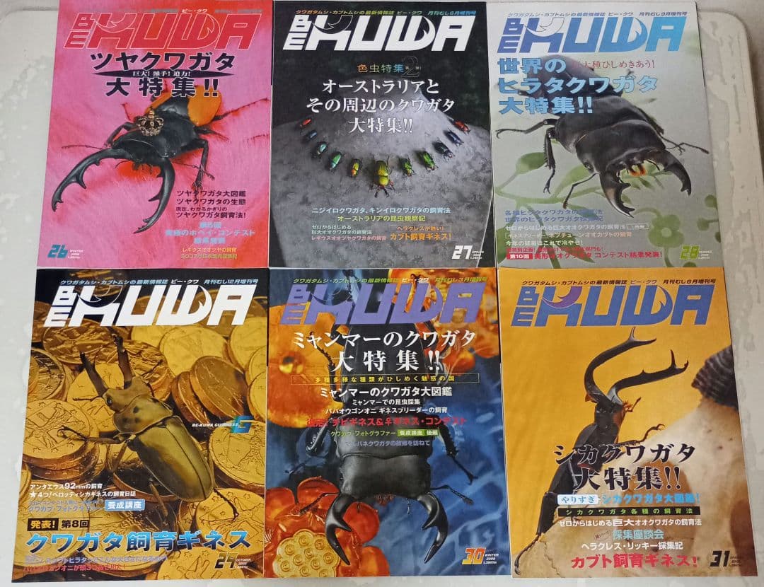 ビークワ　BEKUWA 【 号数不揃い３４冊セット 】むし社