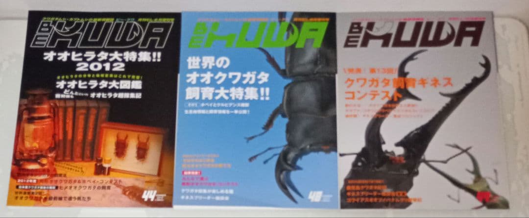 ビークワ　BEKUWA 【 号数不揃い３４冊セット 】むし社