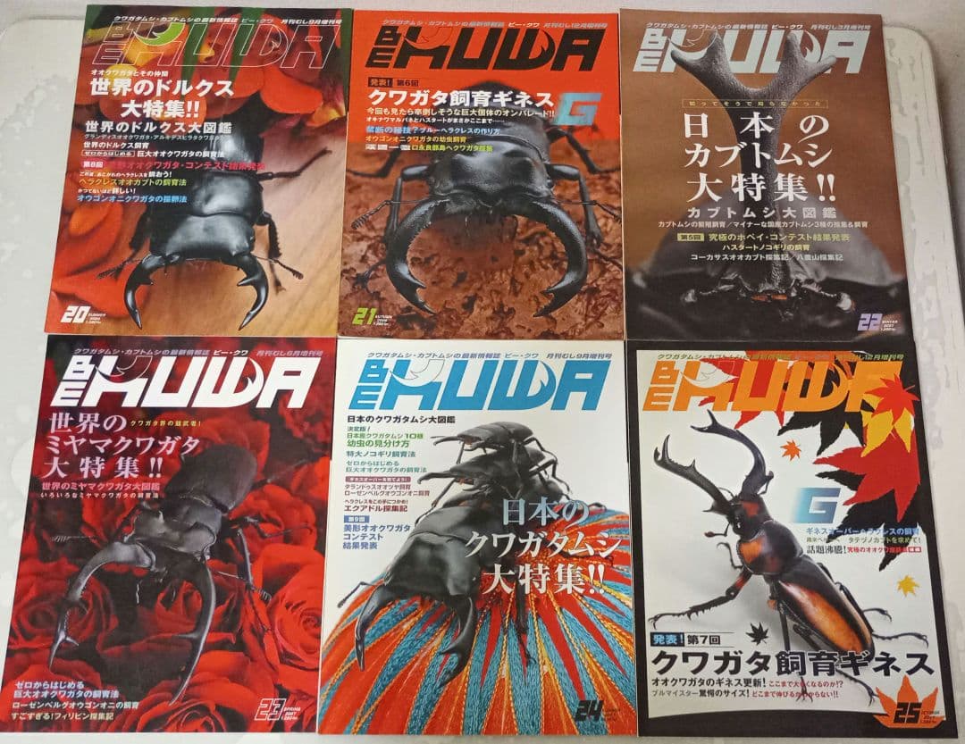 ビークワ　BEKUWA 【 号数不揃い３４冊セット 】むし社