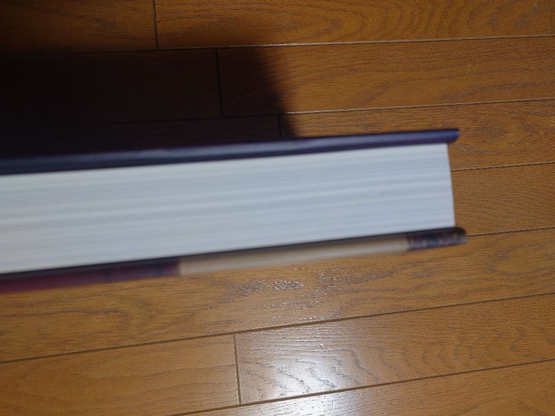 Tim Walker Pictures 写真集