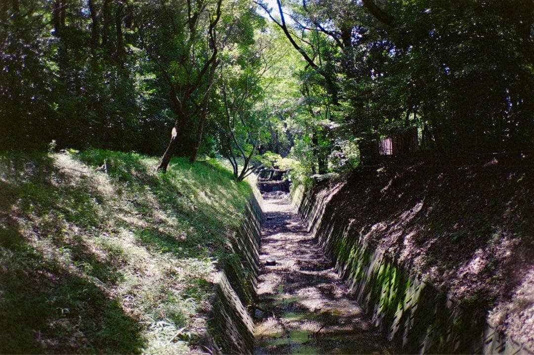 CONTAX T コンタックス フィルムカメラ 初代 動作品 作例あり