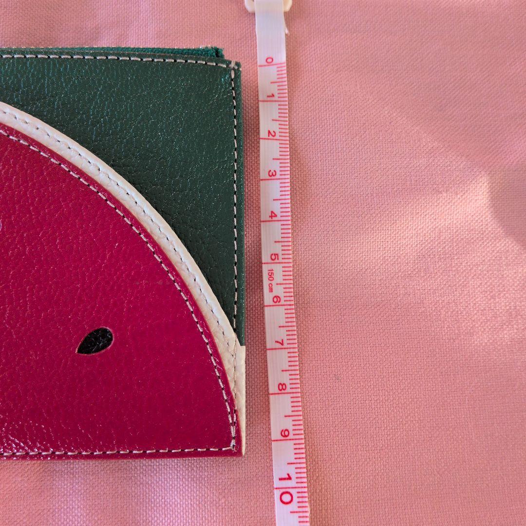 IBIZA スイカデザイン ケース