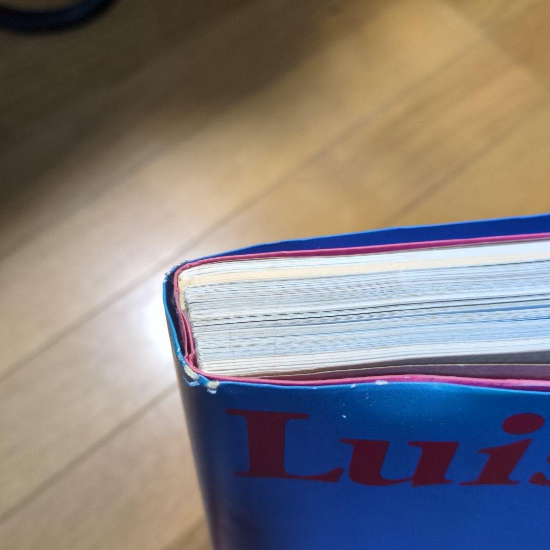 ルイス・バラガンの建築　齋藤裕