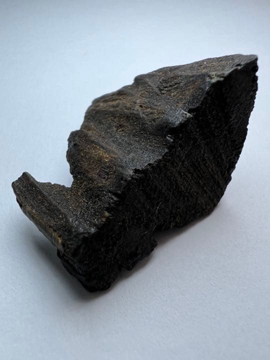 古渡命銘木 名香　中院通村公　真南蛮　銘【高根】3.246g 香木/沈香/伽羅