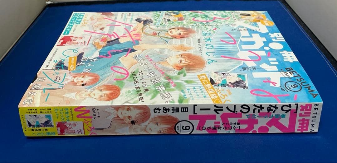 別冊マーガレット2019年9月号 ひなたのブルーきせかえコミックスカバー付き