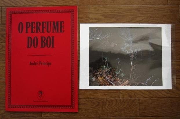 O PERFUME DO BOI　Andre Principe　限定50部