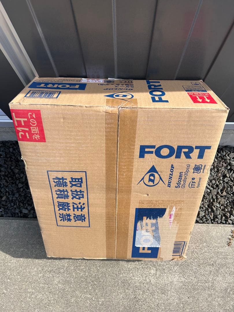 マ*サ様 DUNLOP FORT ダンロップフォート　60球入り